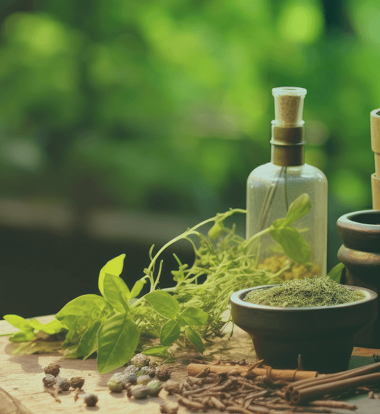 Phytotherapy & Herbalism
