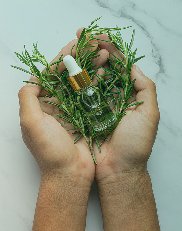 Plant Therapy